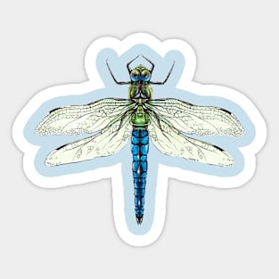 Dragonfly Sticker